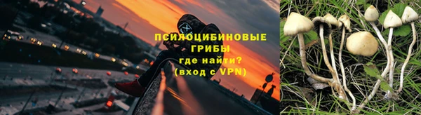 ешки Зерноград