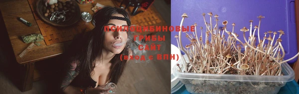 ешки Зеленодольск