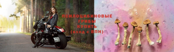 ешки Зеленодольск