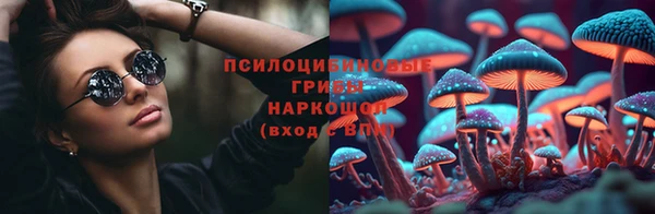 ешки Зерноград