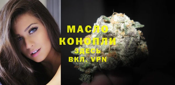 гидра Зеленокумск