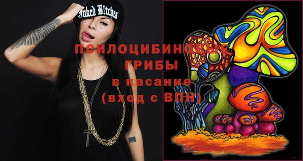 ешки Зеленодольск