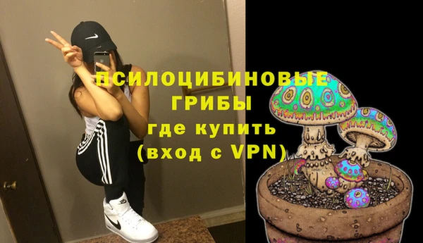 гидра Зеленокумск