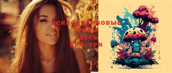 ешки Зеленодольск