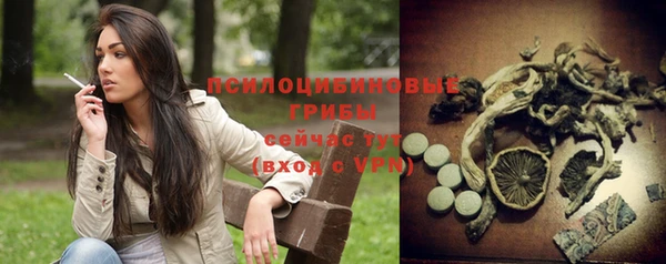 гидра Зеленокумск