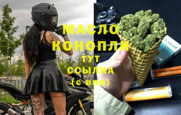 гидра Зеленокумск