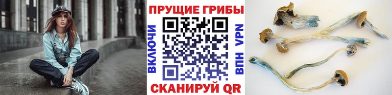 дарк нет клад  наркота  omg ссылки  Батайск  Галлюциногенные грибы GOLDEN TEACHER 